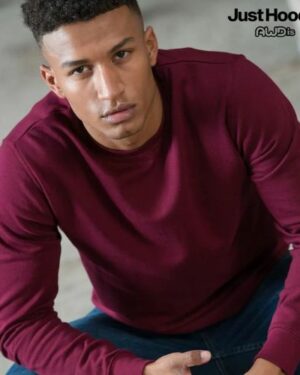 Pull col rond Awdis JH030