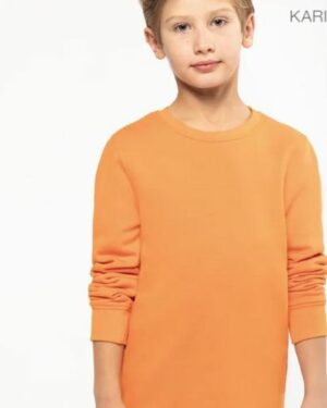 Pull col rond enfant K4026