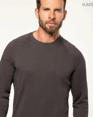 Sweat Col Rond homme WK402