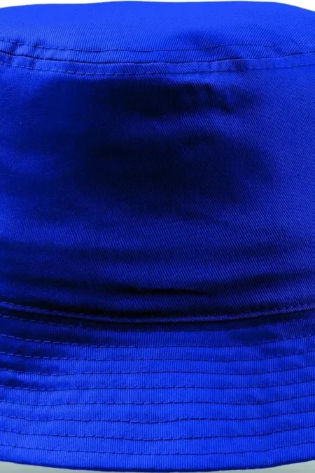 Bleu roi
